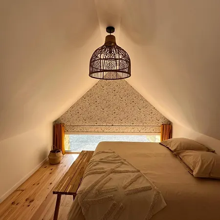 Les Marais Blancs A * Picauville