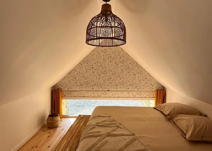 Les Marais Blancs A * Picauville