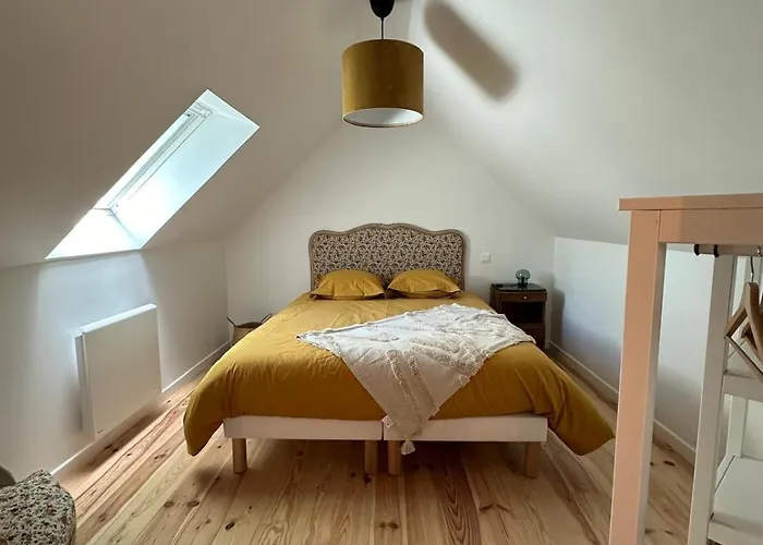 Les Marais Blancs A 度假居 皮科维尔